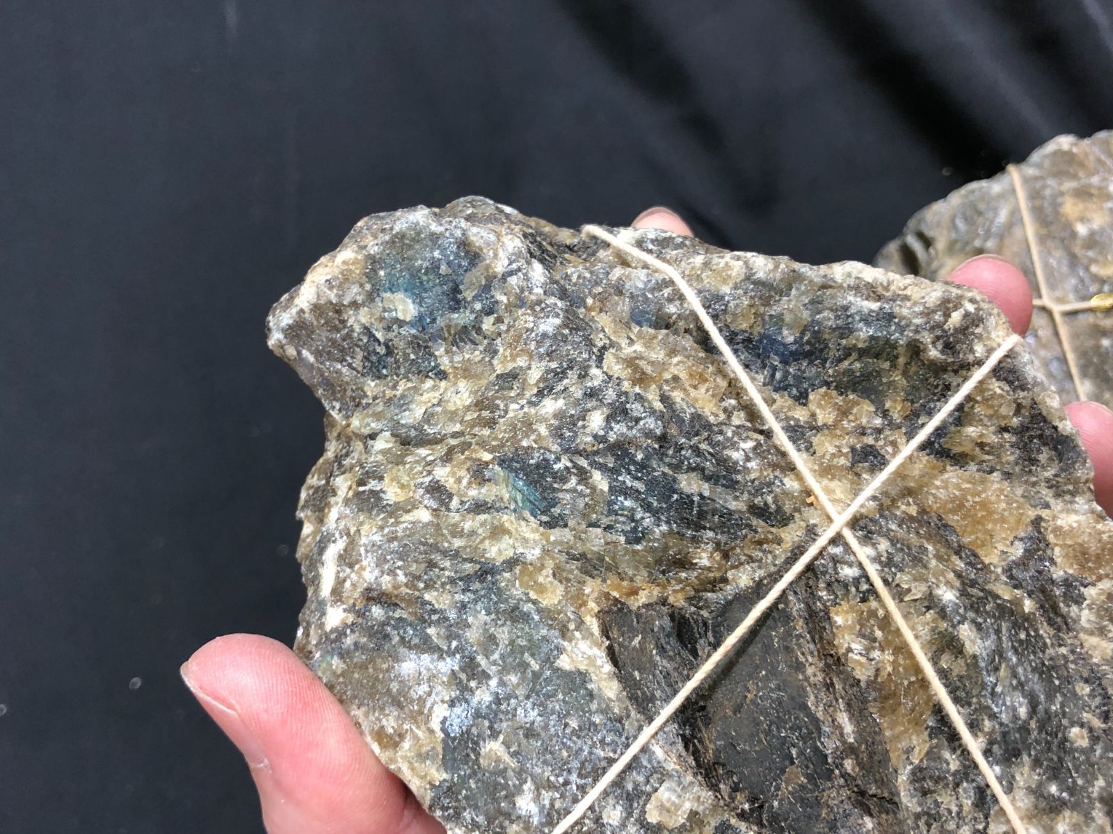 アウトレット【勾玉】糸魚川翡翠 (白・緑・ロウカン) 約21mm 証明書