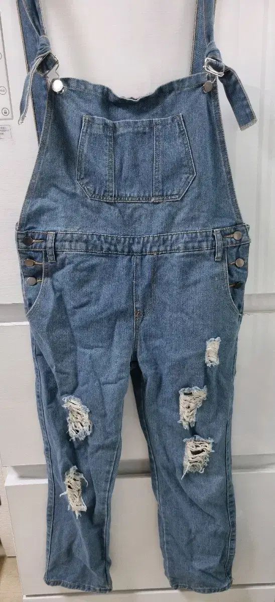 アデュートリステスkazumiさんコラボサロペット アデュートリステス