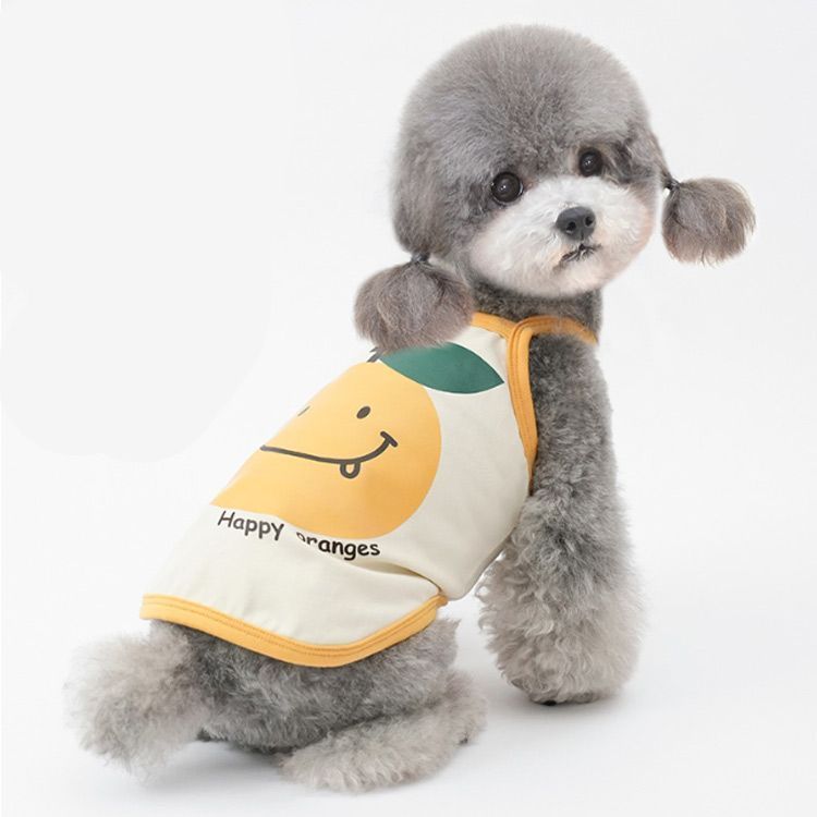 新品　犬服　モンシェリ　春夏　Sサイズ ワンピース 楽天市場】【LINE追加10%OFFクーポン】 moncheri モンシェリ 犬