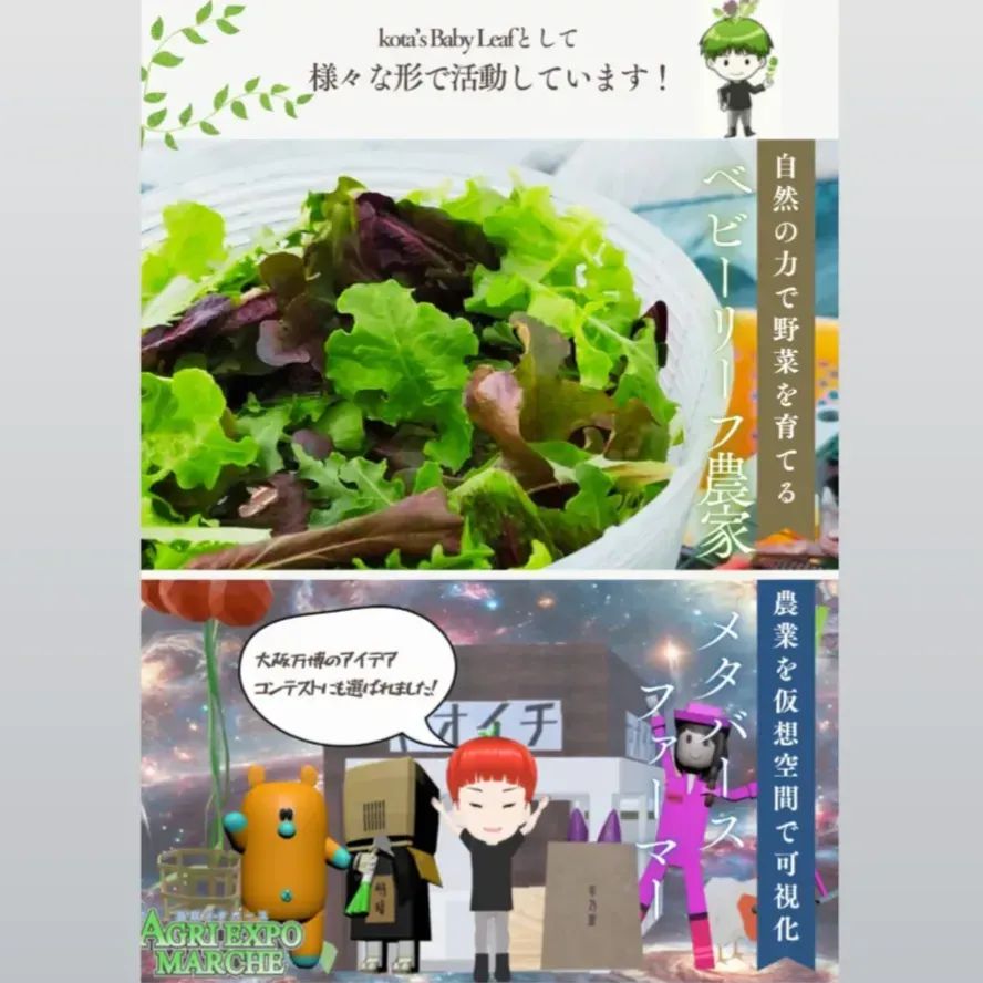 群馬県産ベビーリーフ kota's Baby Leaf 50g x 4袋 - メルカリ