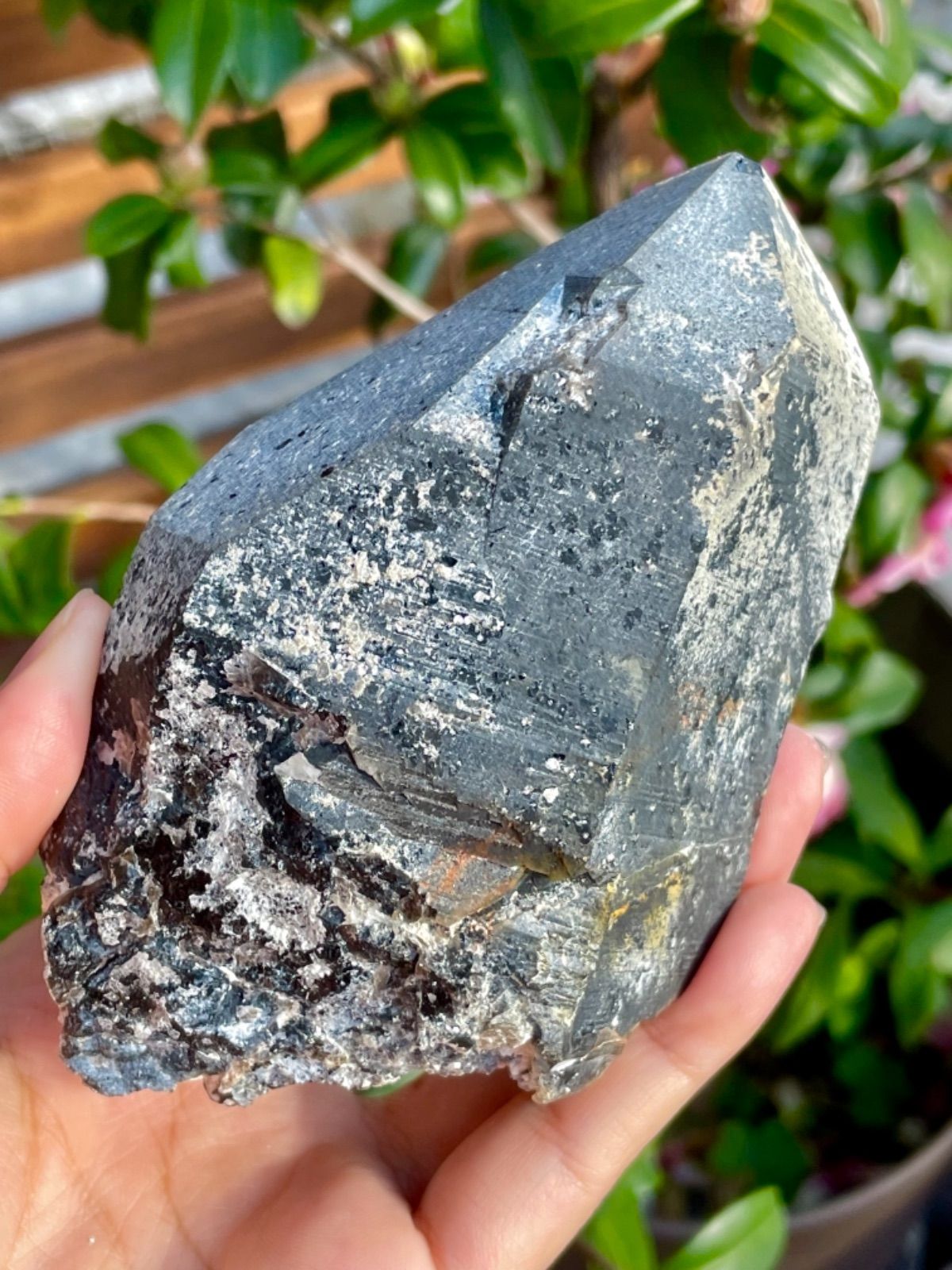 超格安価格 チベット産 モリオン原石