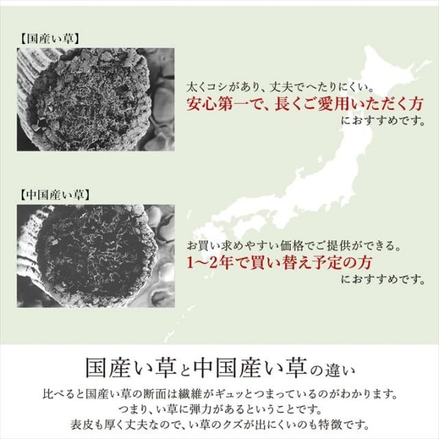 置き畳 ユニット畳 システム畳 国産 ナチュラルスタイル い草 消臭 抗菌防臭 市松 約82×82×2.3cm 2P 同色2枚組 MARWIL-DEMENAGEMENTS_CH