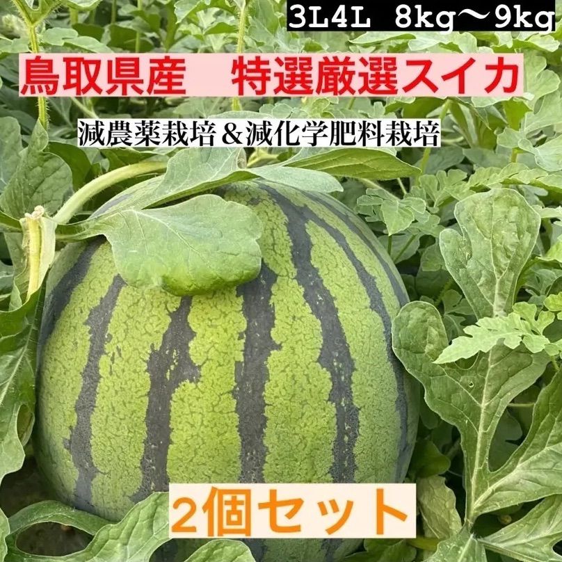 鳥取県産2個セット特選厳選スイカ3L4L(8kg〜10kg) 赤秀品