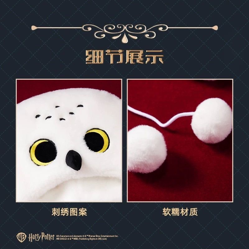 中国
