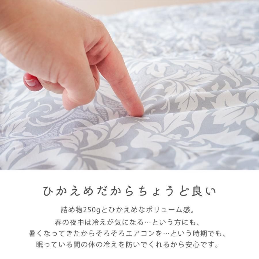 昭和西川