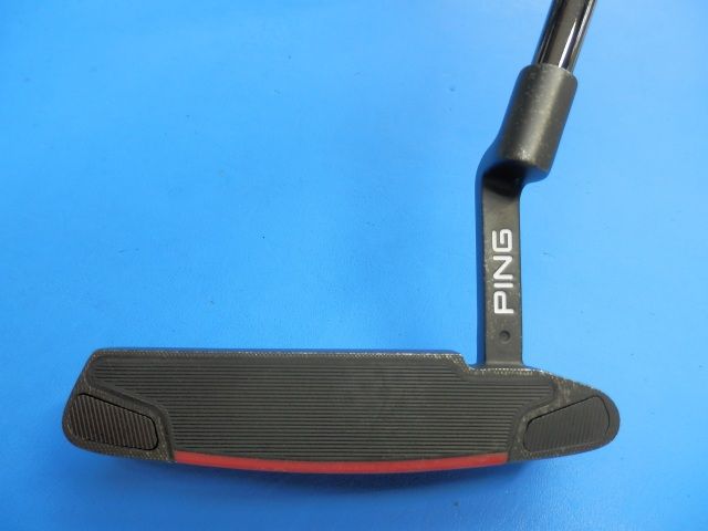 ＰＩＮＧ ２０２１