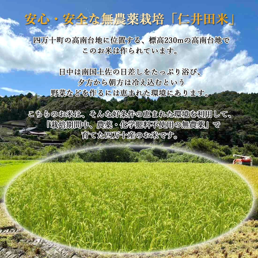 10kg】窪川産直 四万十町 まぼろしの米 ふさなり 農薬：栽培期間中不