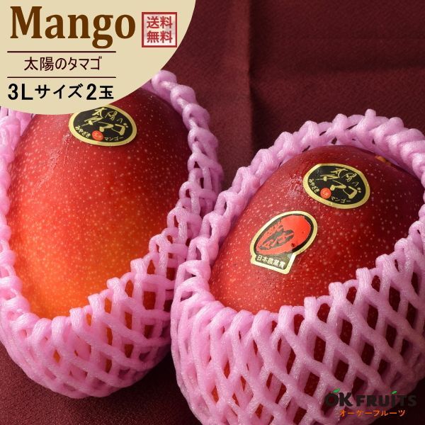 母の日 プレゼント プチカーネーション＆健康茶付き サプライズ ギフト マンゴー 太陽のタマゴ 特大玉3L×2玉入 化粧箱入り 贈り物 宮崎県産 太陽のタマゴ3L 特大玉 2玉