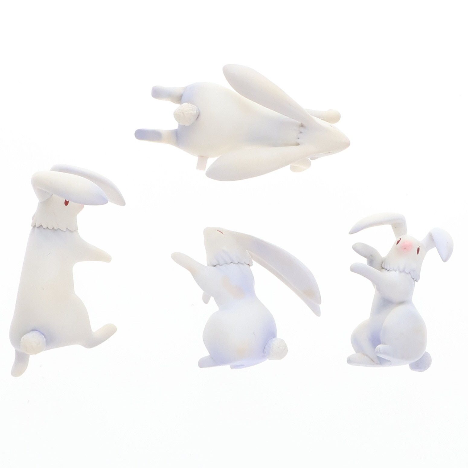 シャルロット・デュノア -Bunny Style- IS インフィニットストラトス 1