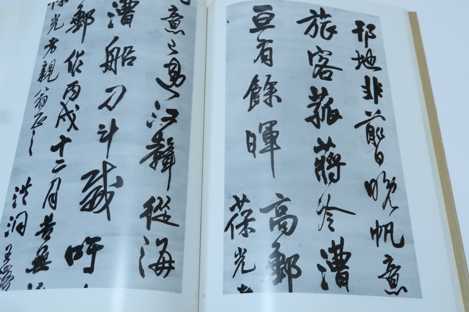 村上三島書道歴史 作品紹介 村上三島 道 一面に書かれたたくさんの 道 