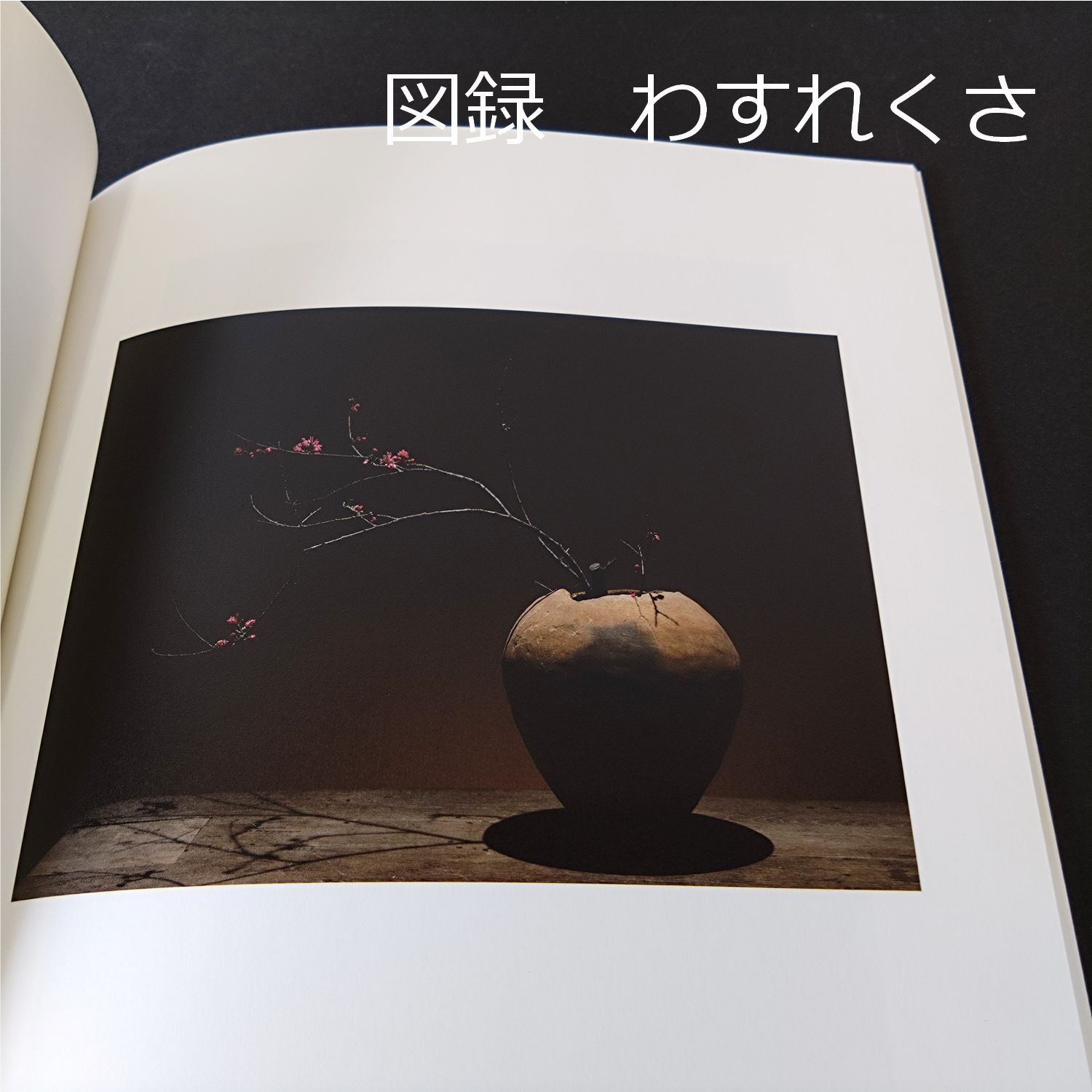 パナリ焼 図録 内田鋼一 高橋台一 古道具坂田 坂田和實 工芸青花