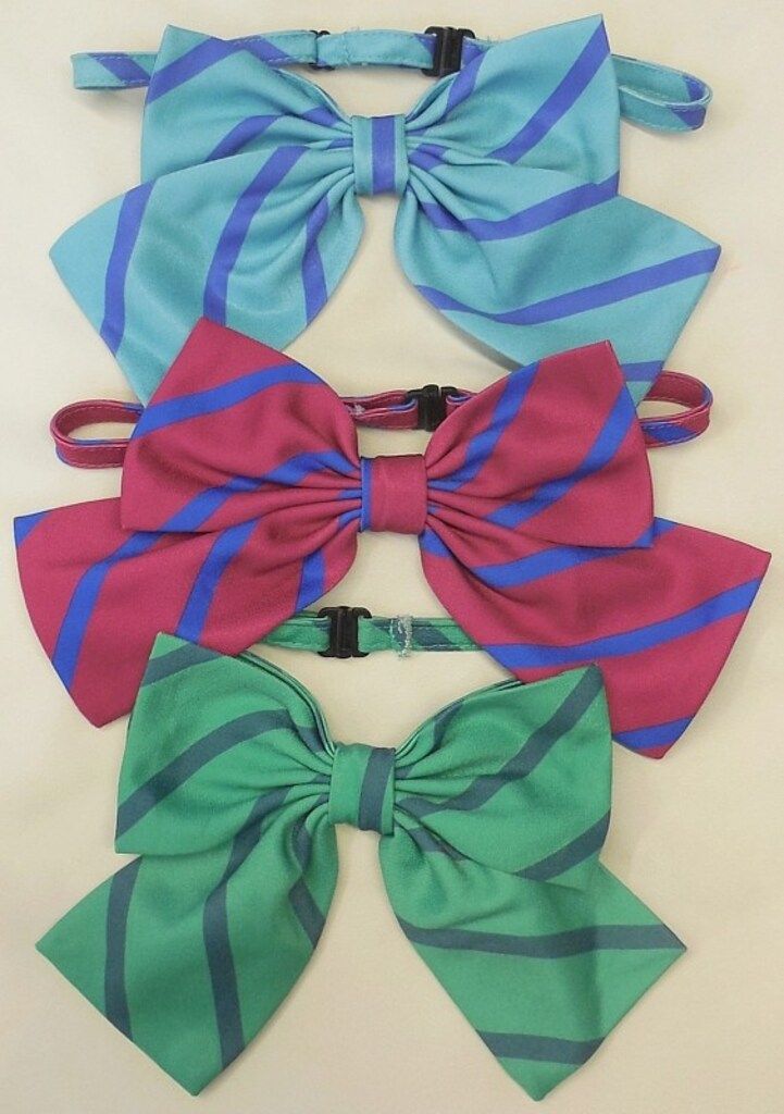 ACOS/ラブライブ!/国立音ノ木坂学院制服 冬服/女性用Mサイズ(日本