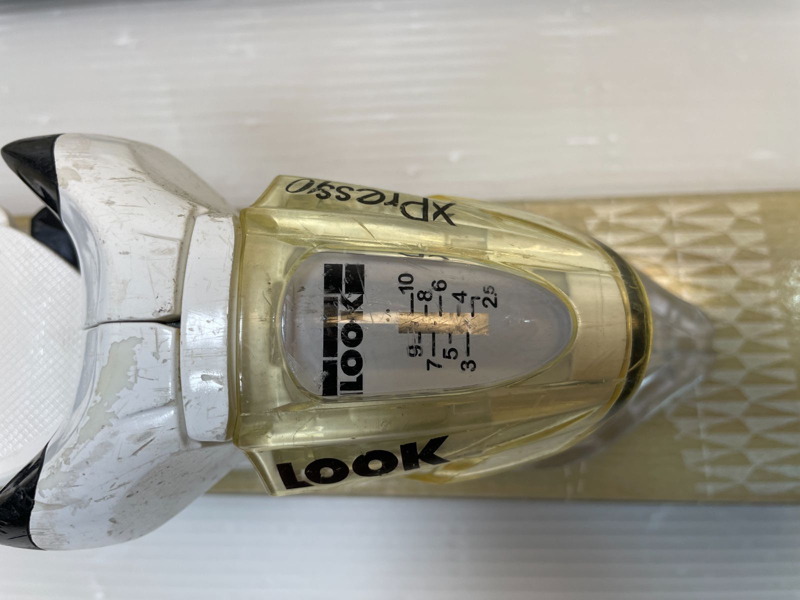 Xpress フリーサイズ