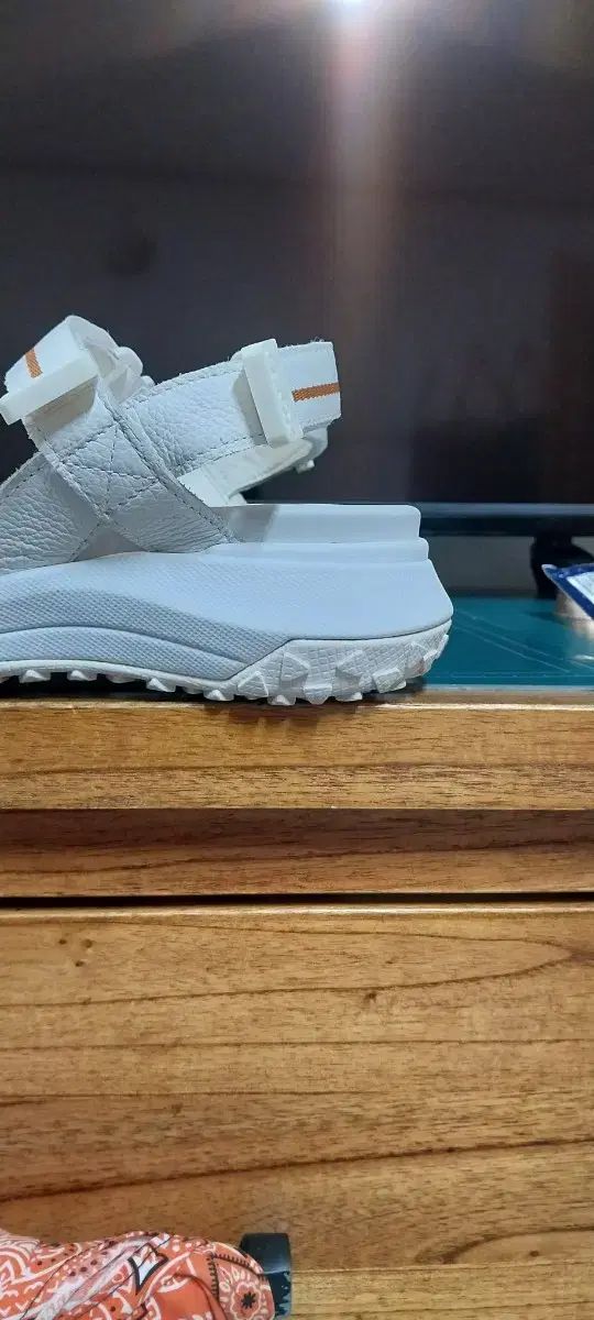 ジェオックス レディース