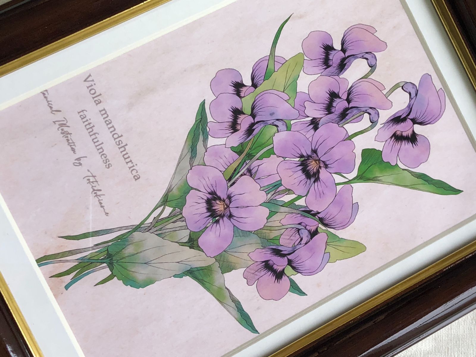 アートフレーム 植物 額絵 ボタニカルアート 版画 日本最大級 - その他