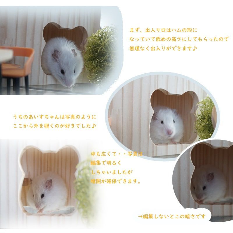 ルーミィ60 ゴールデンハムスター お迎えセット ハムスター様専用 s.Tさま専用】ルーミィ60 ゴルハムお迎えセット 三晃