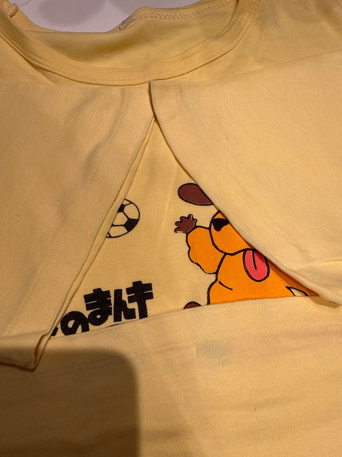 90年代 昭和レトロさんまのまんま Tシャツ シングルステッチ