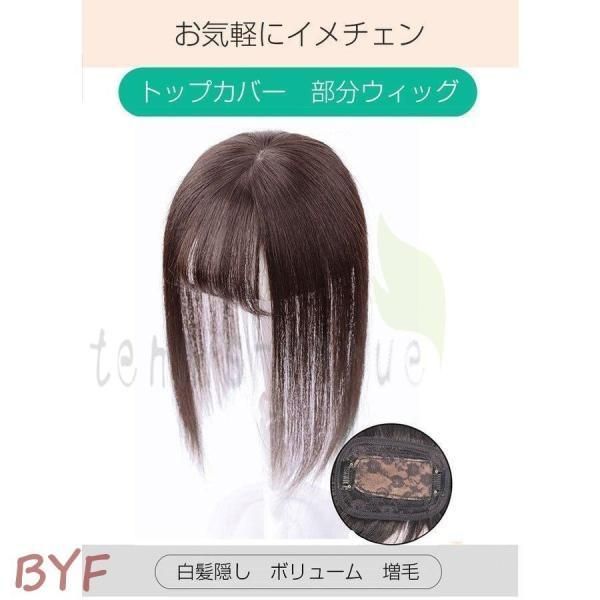 部分ウィッグ 人毛 トップカバー 薄毛 白髪隠し ウィッグ 総手植え 自然 小顔効果 増毛 分け目 つむじ 女性用 つけ毛　wig かつら 30cm 部分ウィッグ 人毛100% トップカバー 薄毛 白髪隠し 総手植え 自然 小