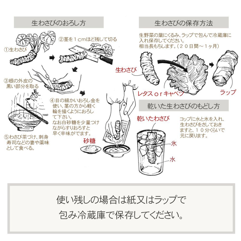 山葵