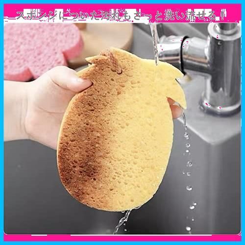 セルローススポンジ