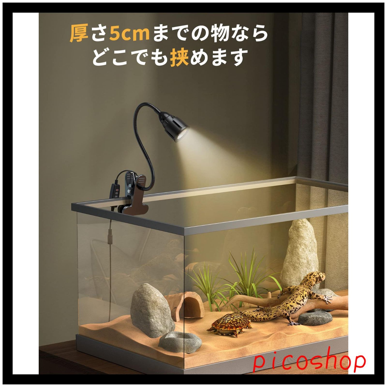 爬虫類
