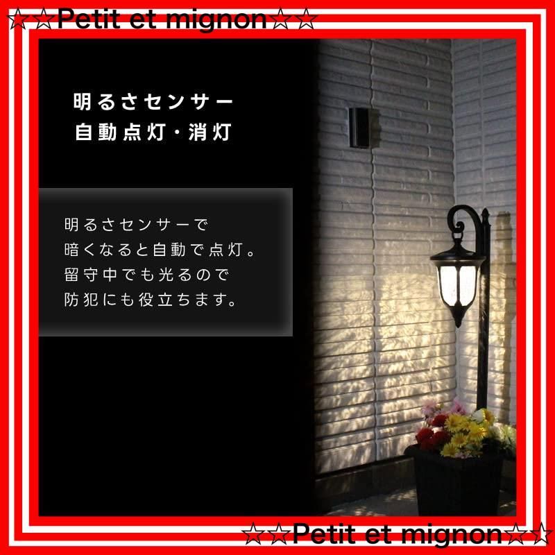 メルカリ便発送‼︎　リップルエフェクト　ランナー子株　鉢付き発送‼︎ メルカリ便発送‼︎ リップルエフェクト ランナー子株 鉢付き発送‼︎