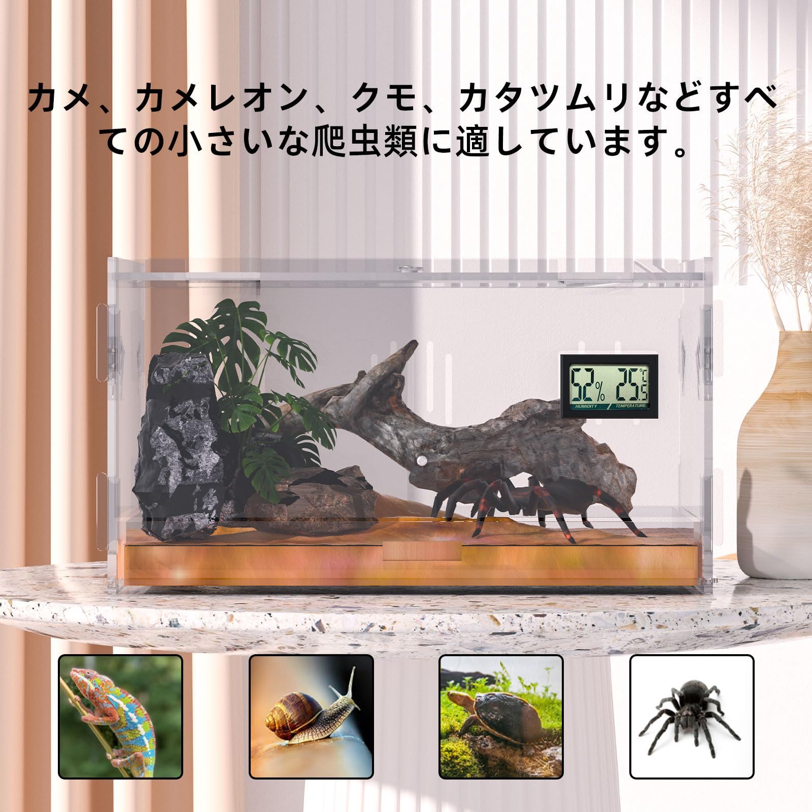 Levemolo 1個 有難 ボックス 爬虫類の餌箱 トカゲ ケージ トカゲケージ 爬虫類飼育ケージ