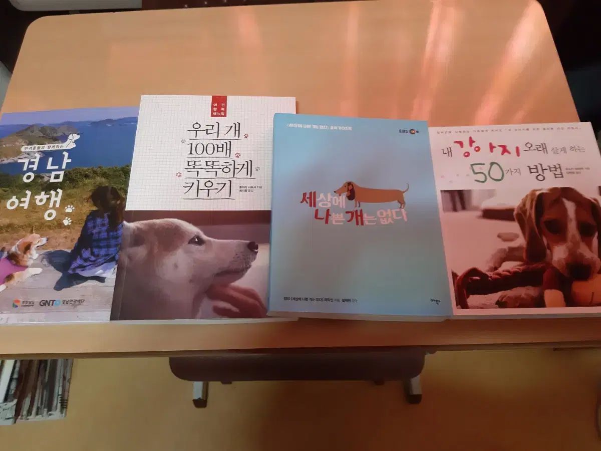 かよぴんページ に適用スズキ・ワゴンR/ワゴンRスティングレーMH23S型 スタックラダー