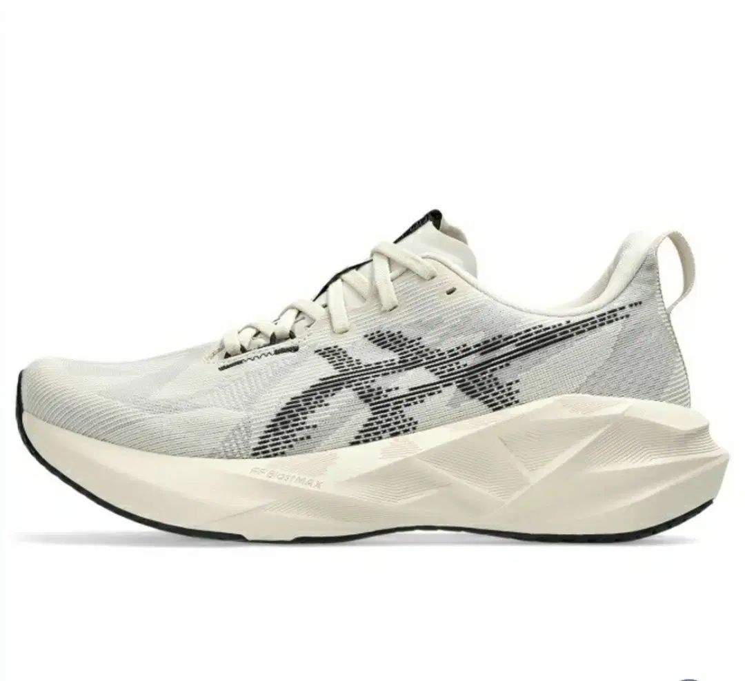 Asics アシックス ノバブラスト 5 ランニングシューズ 280mm オートミール