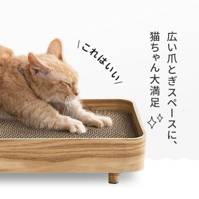 猫 ダンボール