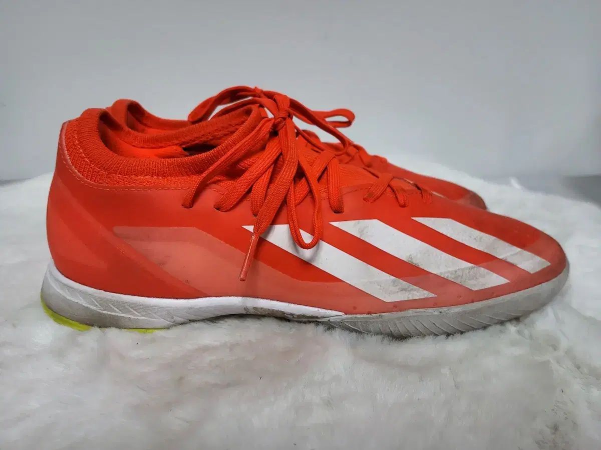 クレイジー ファスト