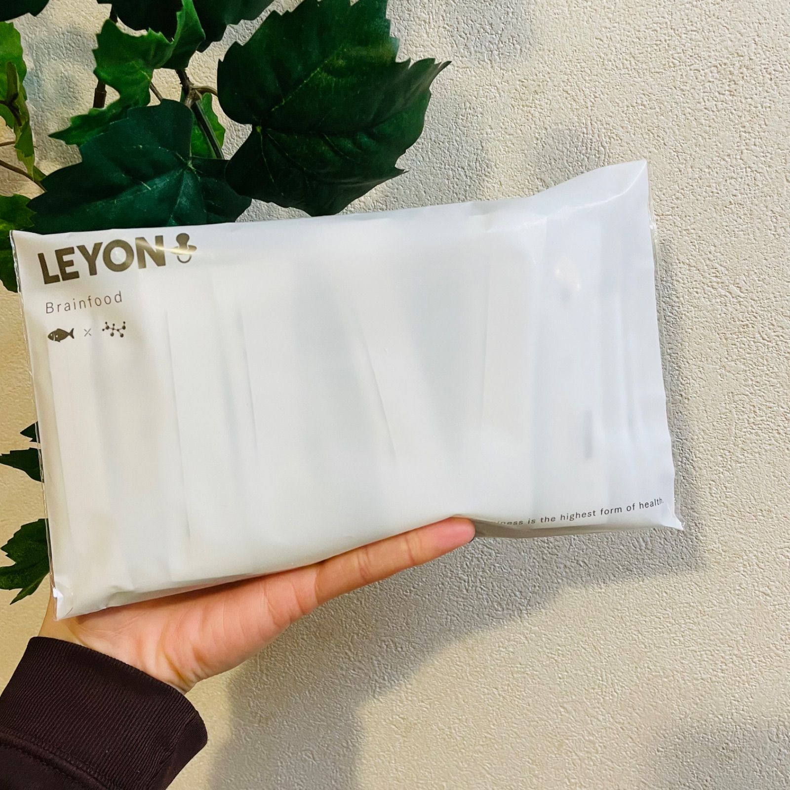 超話題新作 LEYON 20包×3袋 スーパーフード その他 - powertee.com
