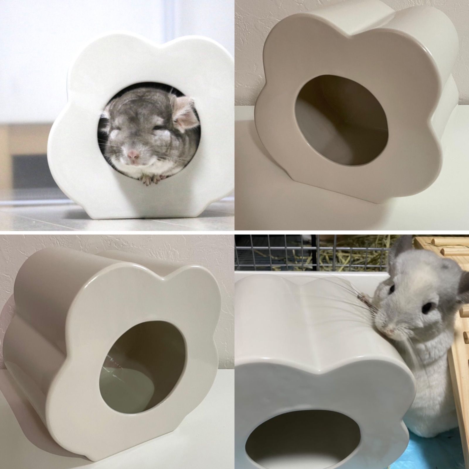 チラツボ