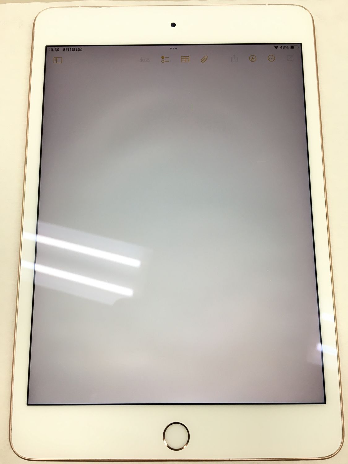 動作確認・初期化済み】電池83％ Apple iPad mini 5 Wi-Fi 64GB