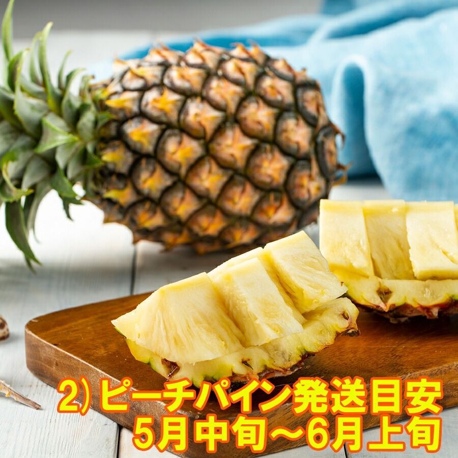 全4回発送 沖縄産スナックパイン約1.5kg