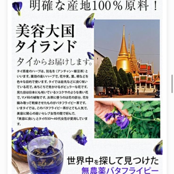 のサムネイル