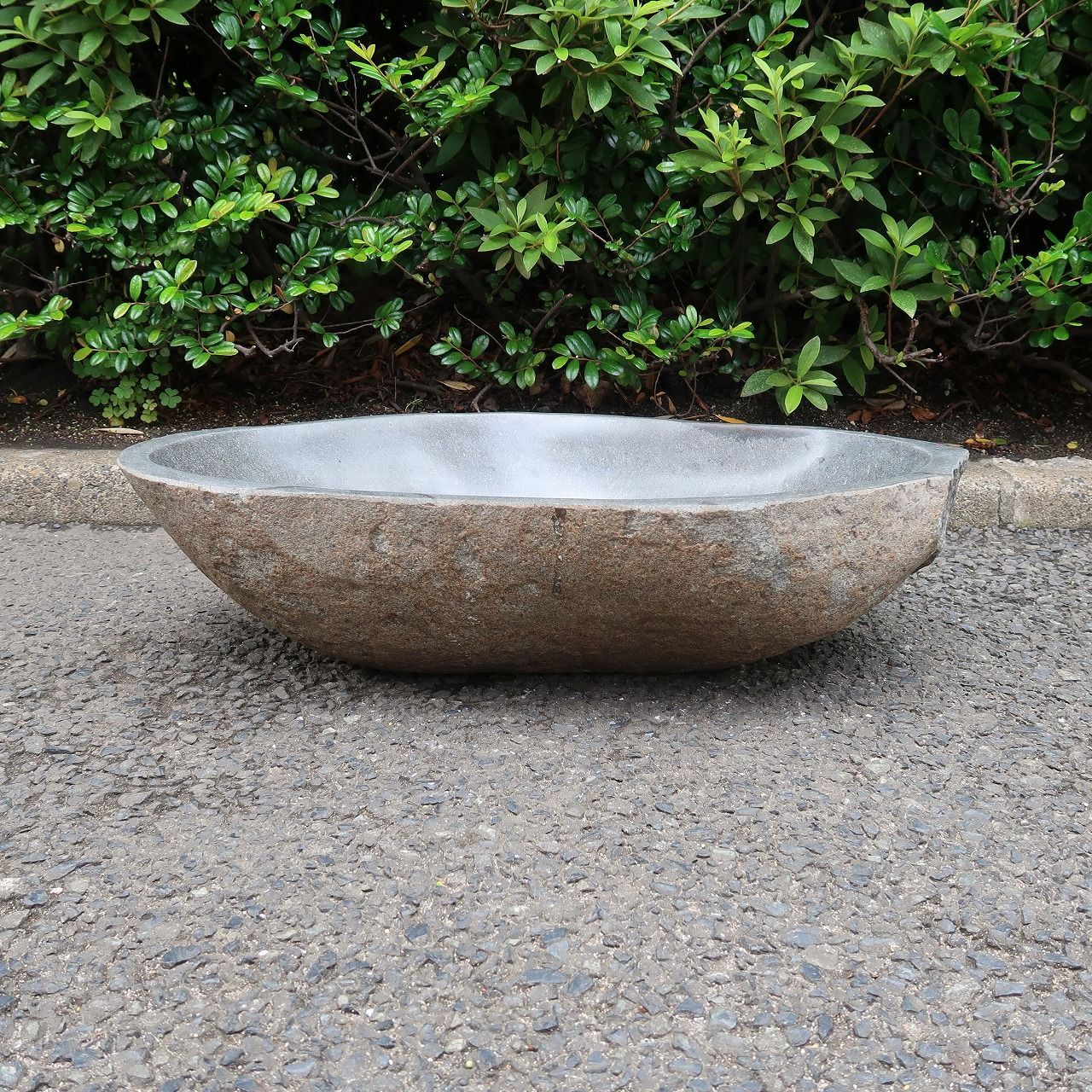 めだか鉢 ガーデン