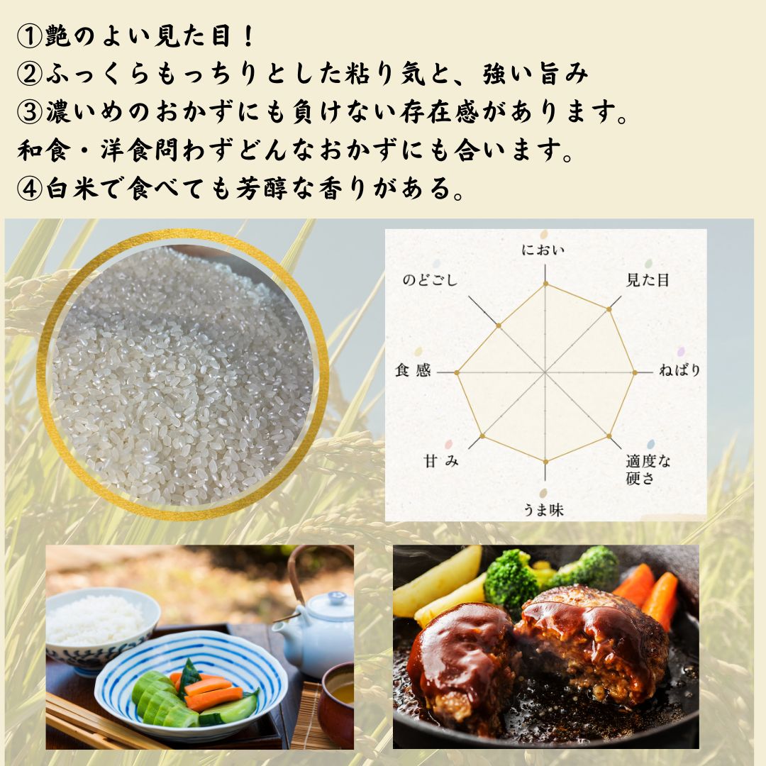 無農薬米 令和5年度 新米【玄米・白米選べます】愛媛県産 お米