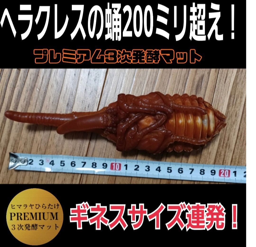 カブトムシの幼虫を入れるだけ！ 便利です！ケースにマットが入って