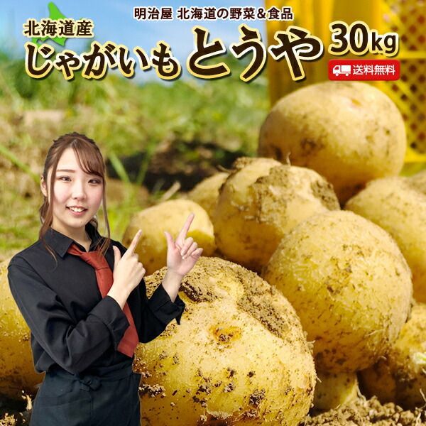 じゃがいも 送料無料 30kg とうや 北海道産 羊蹄山麓産 M〜L サイズ混み ジャガイモ 芋 トウヤ 野菜ギフト 野菜 お歳暮 混みとうや