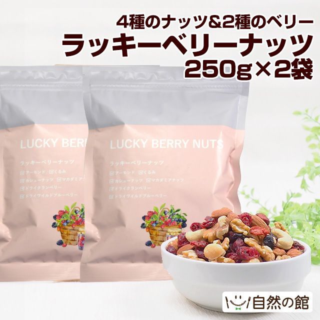 ナッツフルーツ ミックスナッツ ドライフルーツ 600G(300G×2袋) MIXED