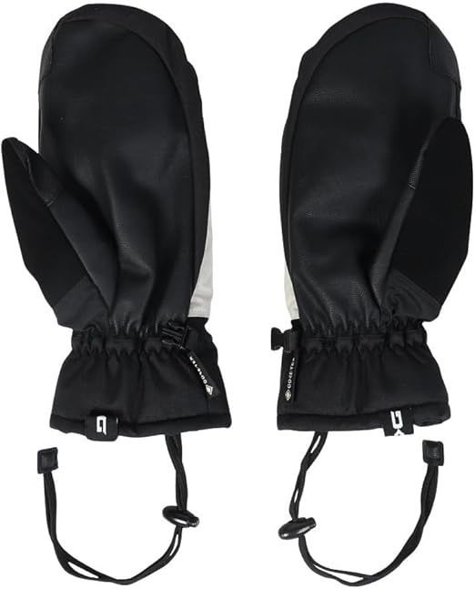 ダカイン DAKINE ゴアテックス パンツ スノーボード GORE-TEX 3L Bib