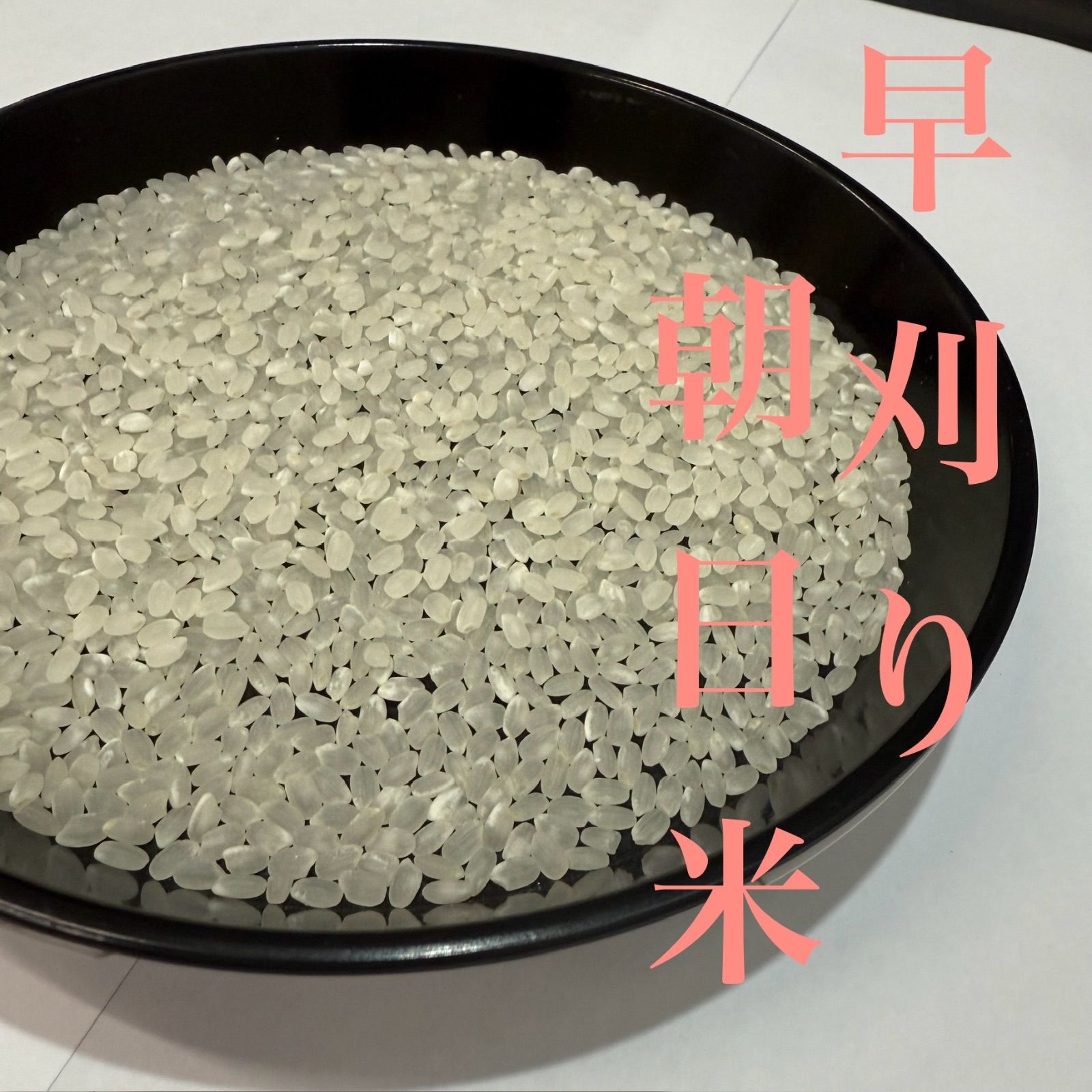 新米 岡山県産 朝日米 5kg×2 10kg 白米 令和7年産