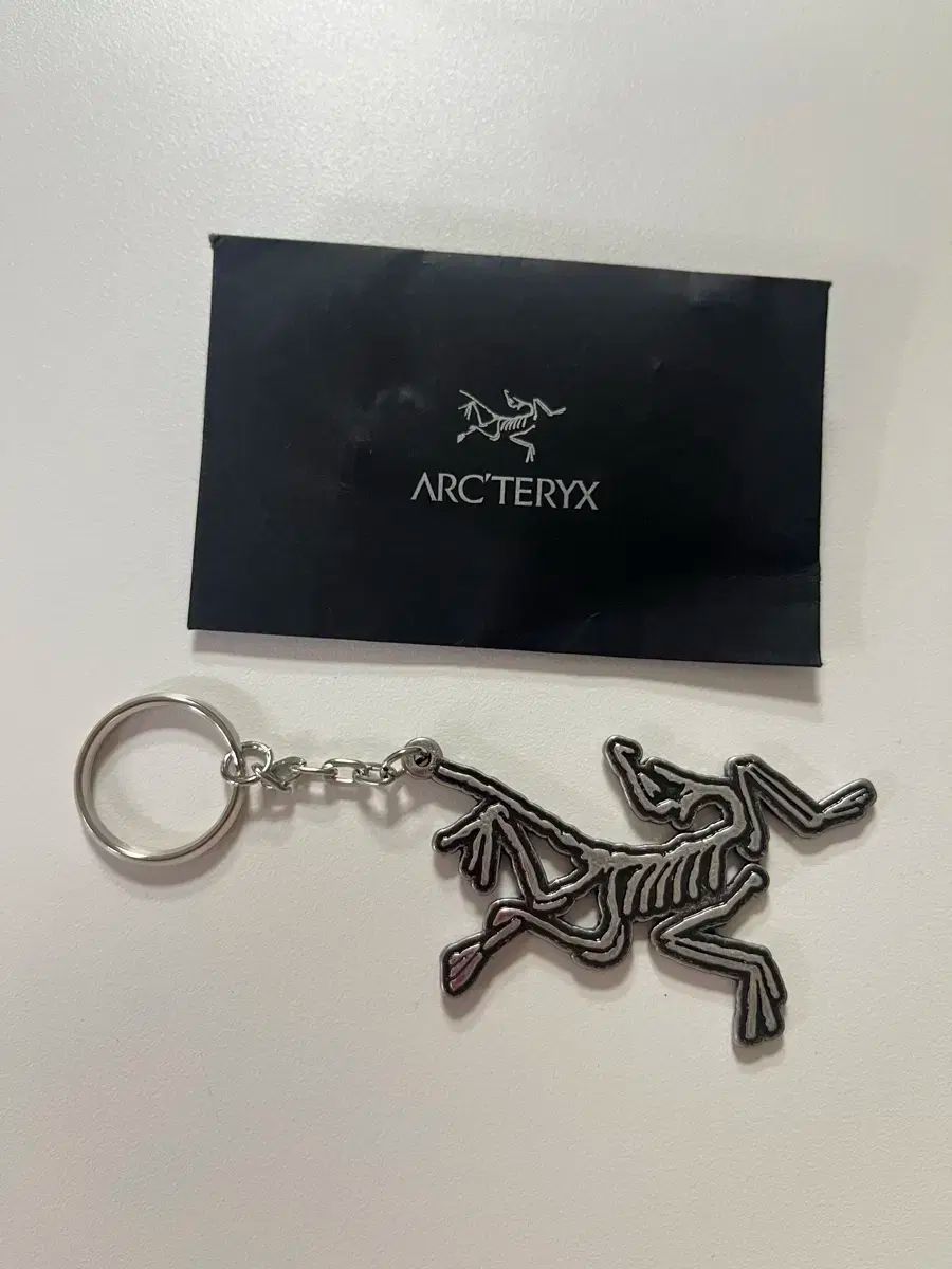 Arc teryx アークテリクス キーリング