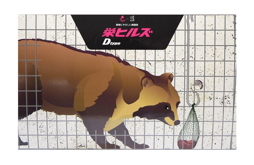 対象動物タヌキ