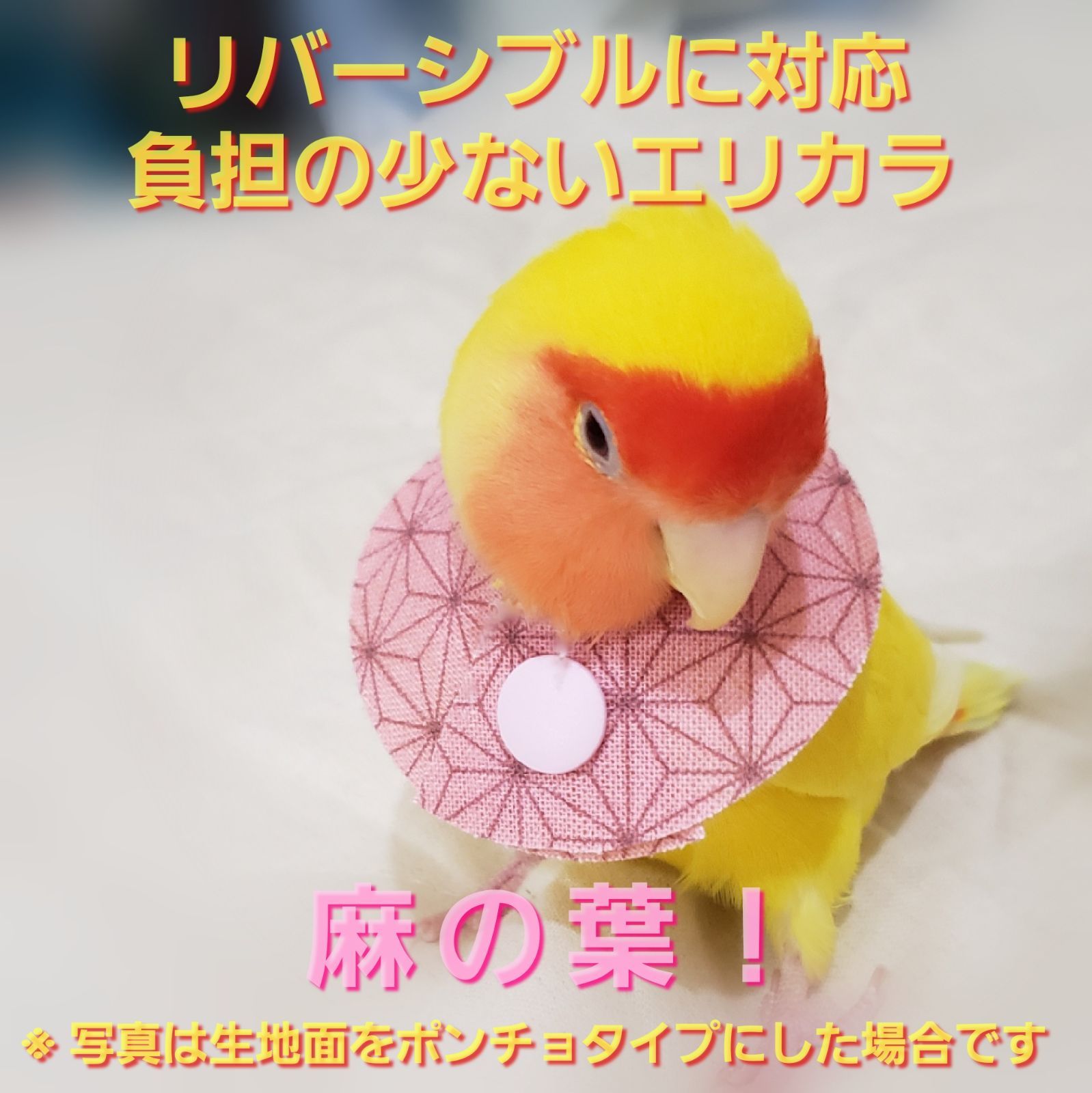 インコ エリザベスカラー(麻の葉)1枚・3サイズ・4g エリザベスカラー専門店 ぴーちく工房 メルカリ