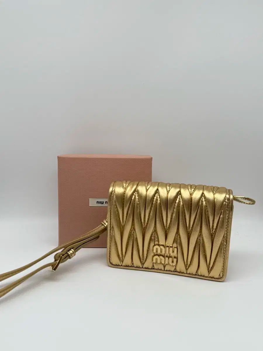 MIU MIU ミュウミュウ 女性 レディース 財布 手鏡 含む