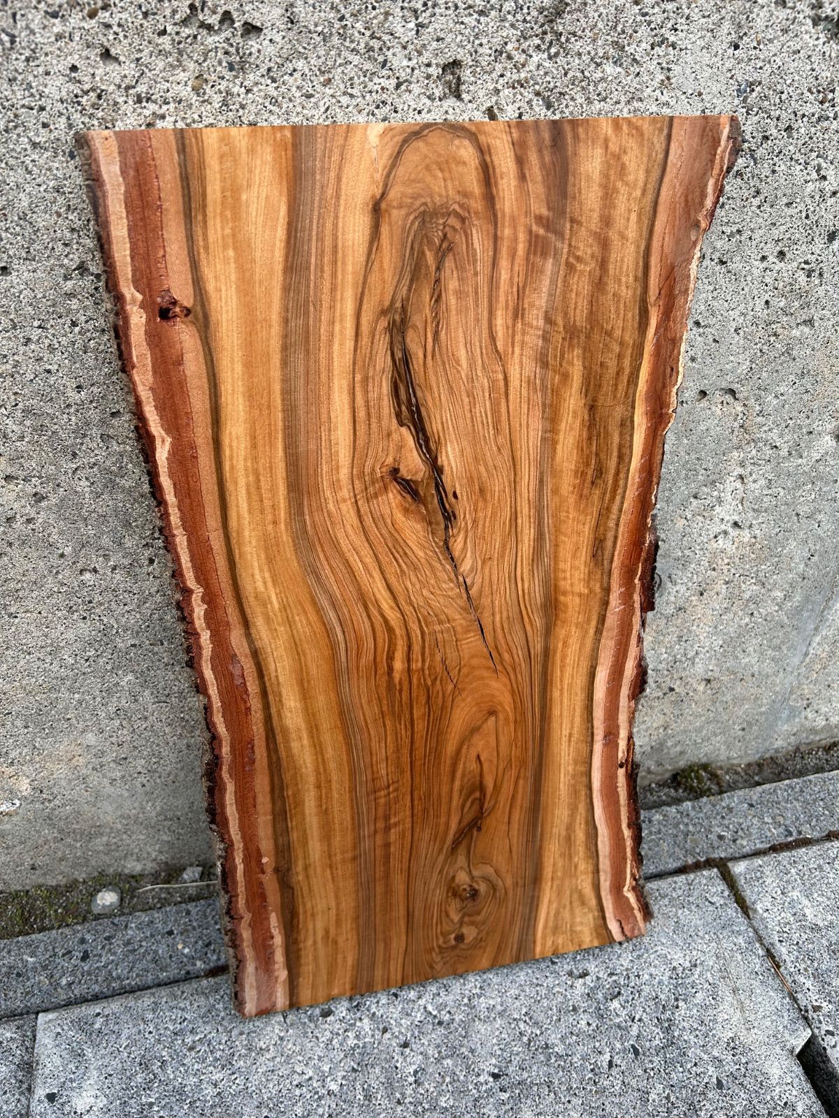 とても珍しい ホルトノキ 板 一枚板 無垢材 木工 ＤＩＹ 素材
