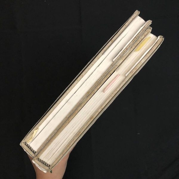 カシニョール リトグラフ画集 Cassigneul lithographe et