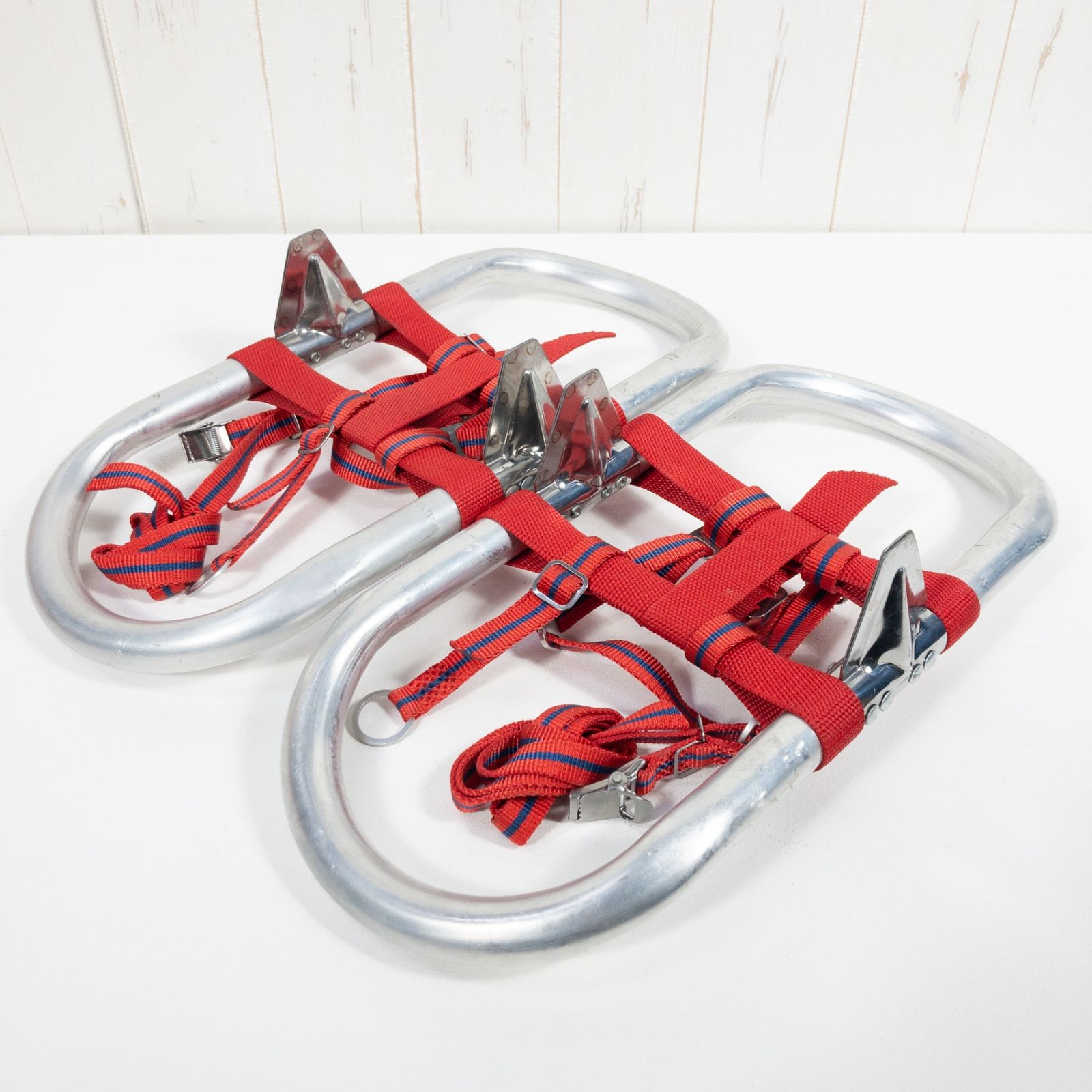 Japan エキスパート